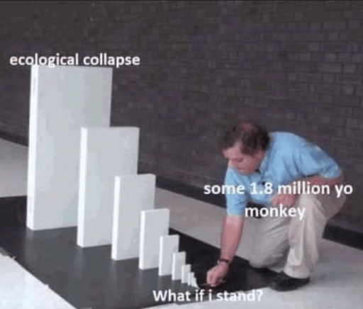 monkey see monkey doom