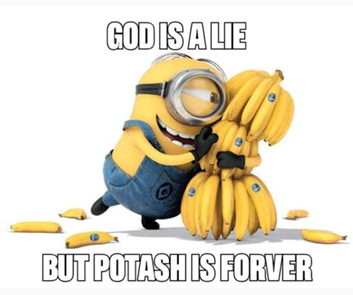 Picture of minion hugging bananas: god is a lie but potash is forever