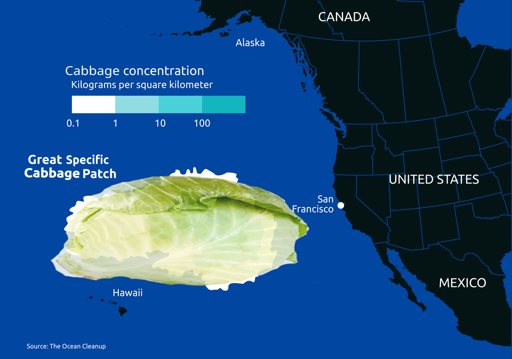 Picture of a giant cabbage on a map off the West coast USA entitled "Great Specific Cabbage Patch"