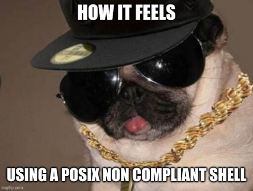 "How it feels using a posix non compliant shell" Picture of a pug with a cappy, a golden chain and sunglasses